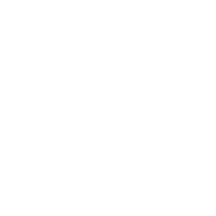 Aramith_logo